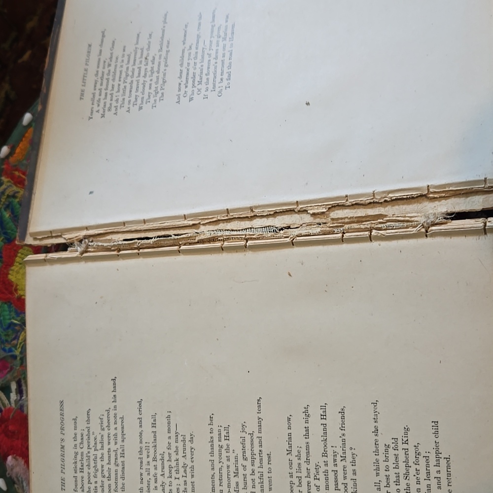 The Pilgrim's Progress Book, Perrless Edition, Published 1892 - Picture 10 of 12